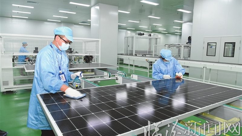新能源厂家直销：如何精准采购，把握成本与质量双重优势**